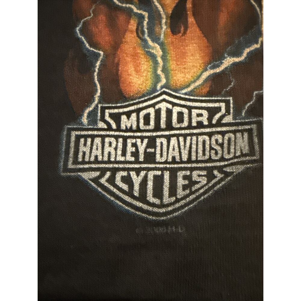 Vintage Harley Davidson Flame Blue Lighting Sweatpants, Size 2XL, 2008 - Picture 5 of 11